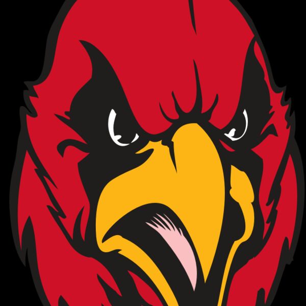 BAW CARDINAL 11 RC Thumbnail