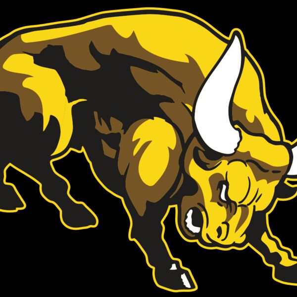 AR BULL 57 RC Thumbnail