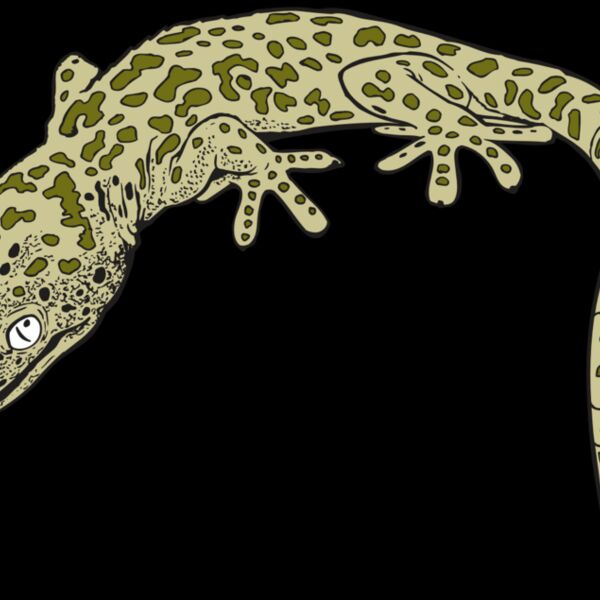 AR GEKO 19 RC Thumbnail