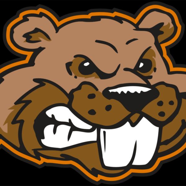 AR BEAVER 11 RC Thumbnail