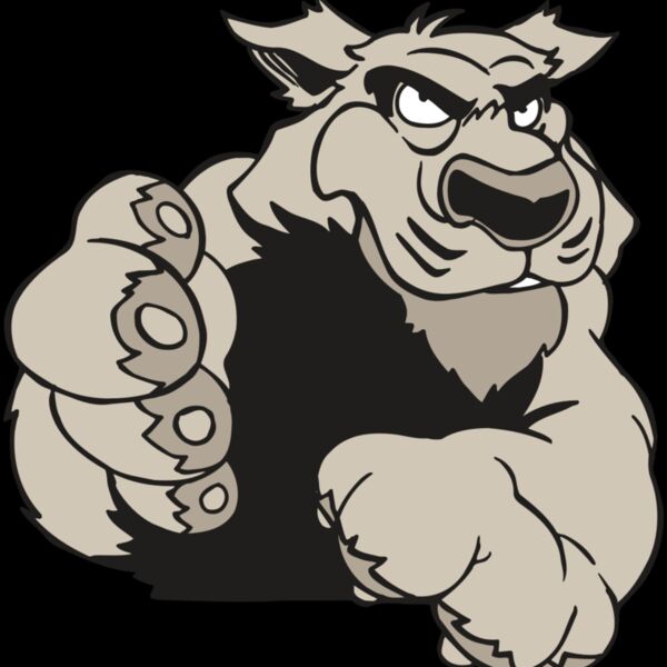 AR5 COUGAR 21 RQC Thumbnail