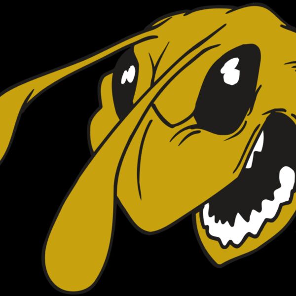 AR5 BEE 26 RQC Thumbnail