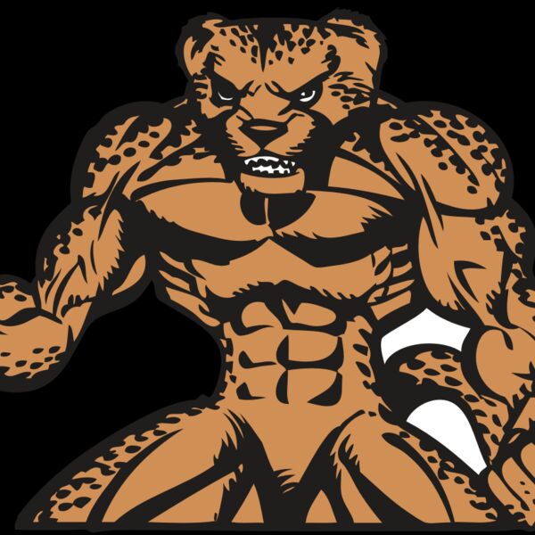 BAW CHEETAH 07 RC Thumbnail