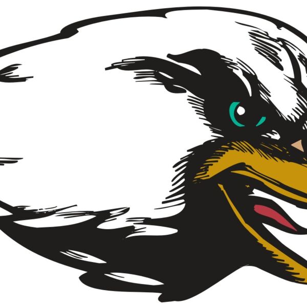 BAW EAG 09 RC Thumbnail