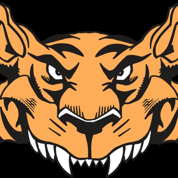 AR5 Tiger 07 RQC Thumbnail