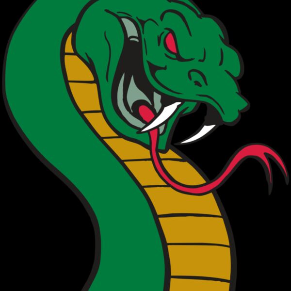 AR SNAKE 12 RC Thumbnail