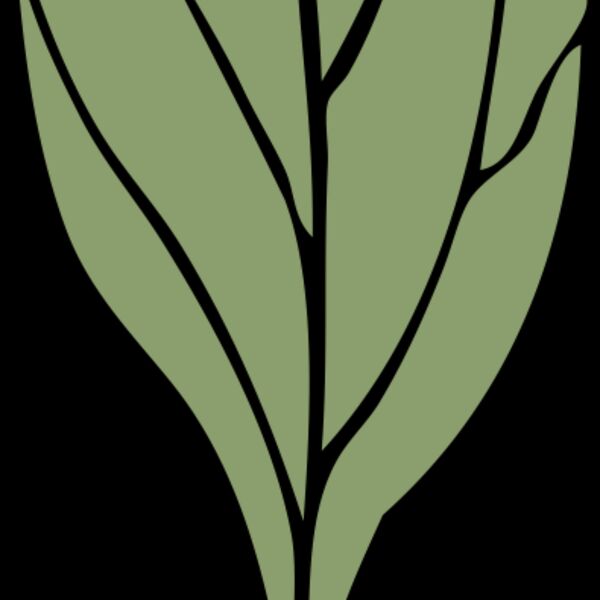 johnny automatic ivy leaf 4 Thumbnail