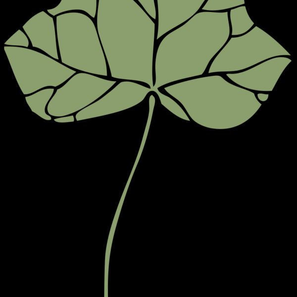 johnny automatic ivy leaf 7 Thumbnail