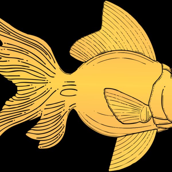 johnny automatic fish 2 Thumbnail