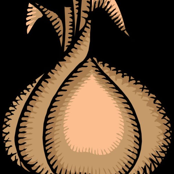 johnny automatic onion Thumbnail