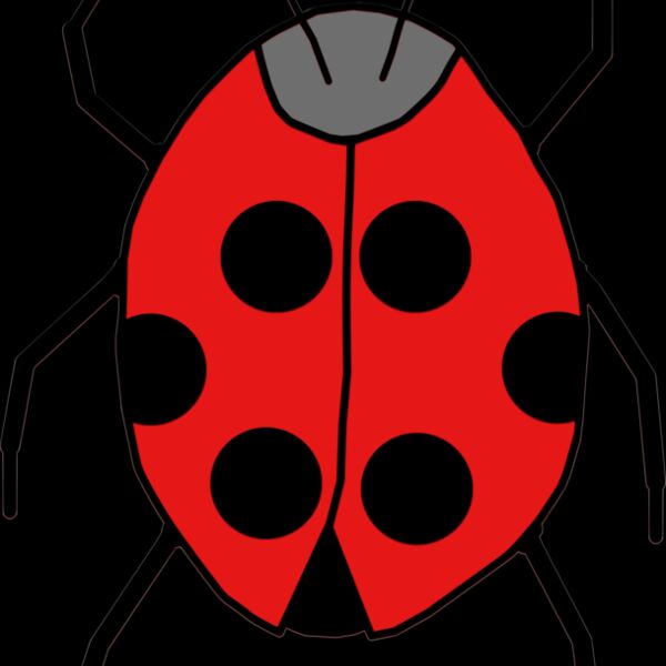 ladybug  3  Thumbnail