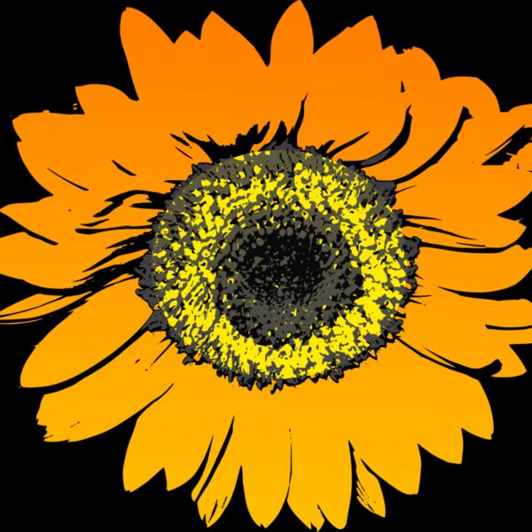 mokush Sunflower Thumbnail