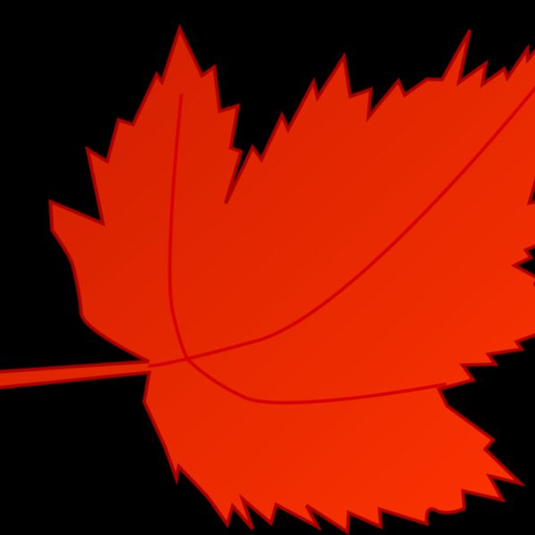 Leaf 2 Thumbnail