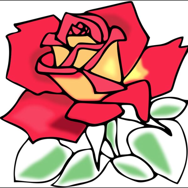 zeimusu Red rose Thumbnail