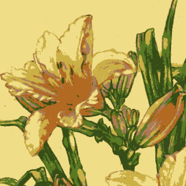 Original Aiflowers 28 Thumbnail