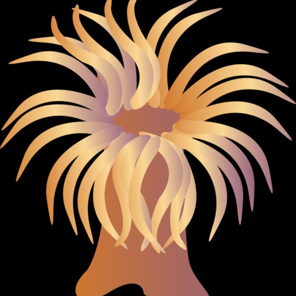 1347394744  2  Thumbnail