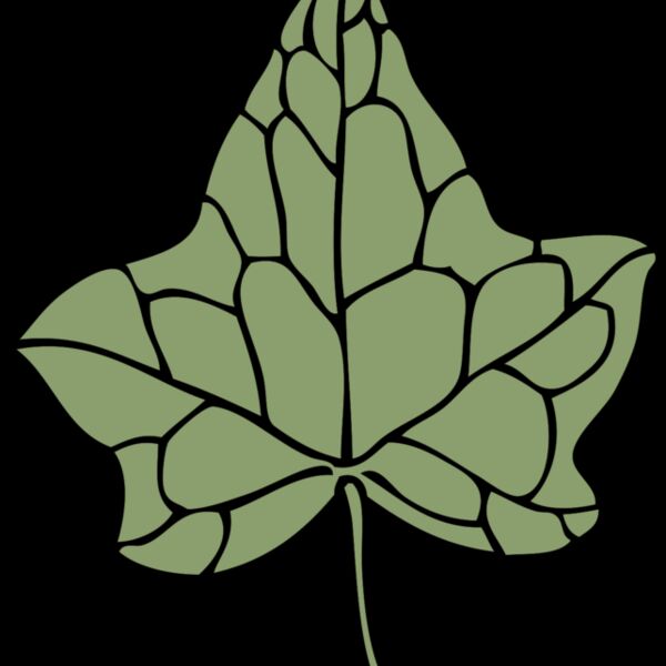 johnny automatic ivy leaf 5 Thumbnail