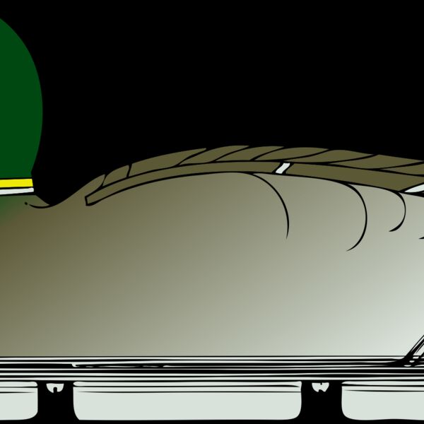 johnny automatic duck decoy  side view Thumbnail