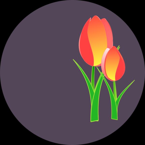 Tulips Thumbnail