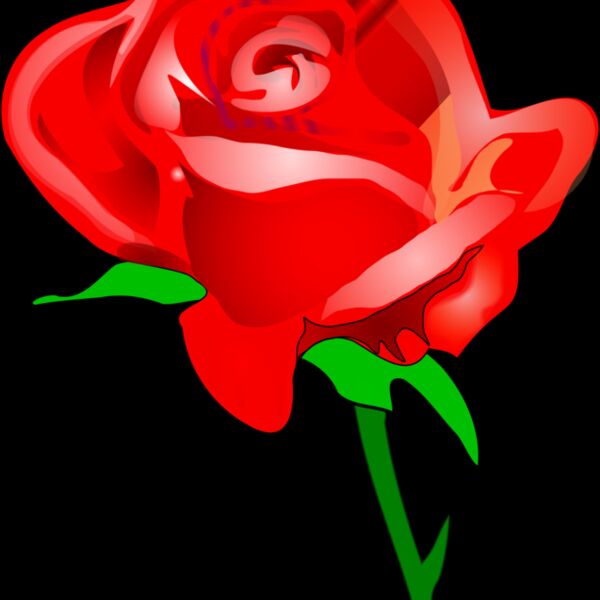 550e682b  2  Thumbnail