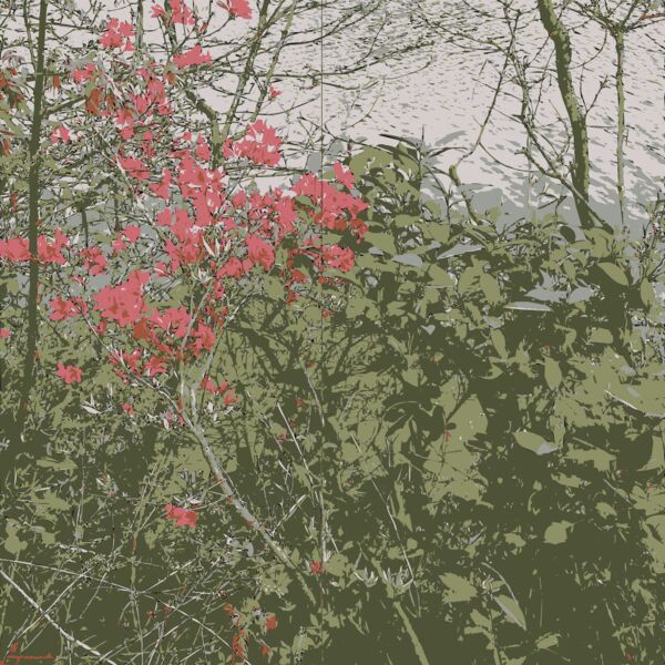 Original Aiflowers 37 Thumbnail