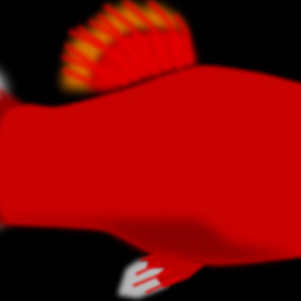 mystica Aquarium fish   Xiphophorus maculatus Thumbnail