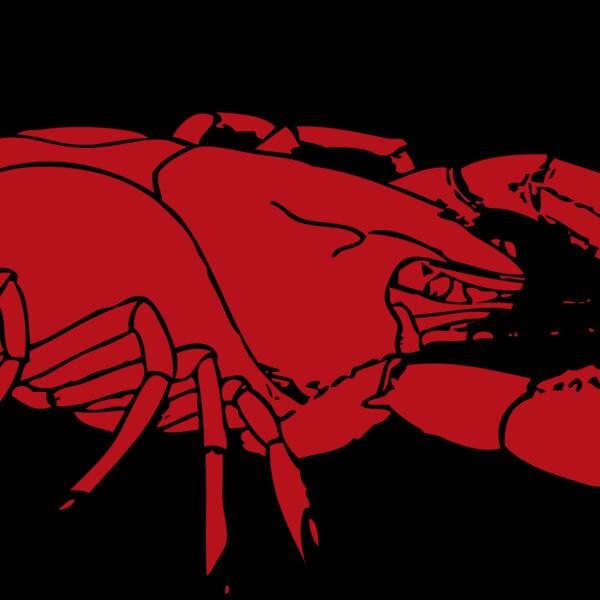 johnny automatic crayfish Thumbnail