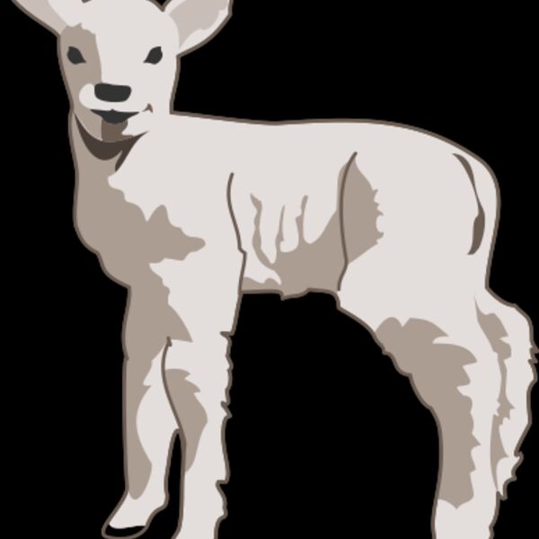 molumen young lamb 1 Thumbnail