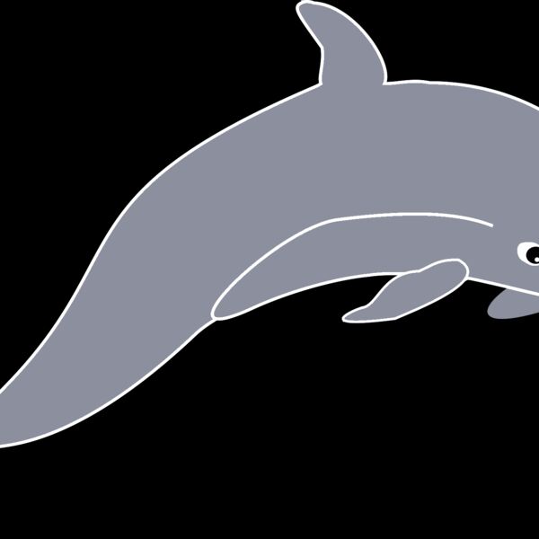 dolphin enrique meza c 02 mod  2  Thumbnail