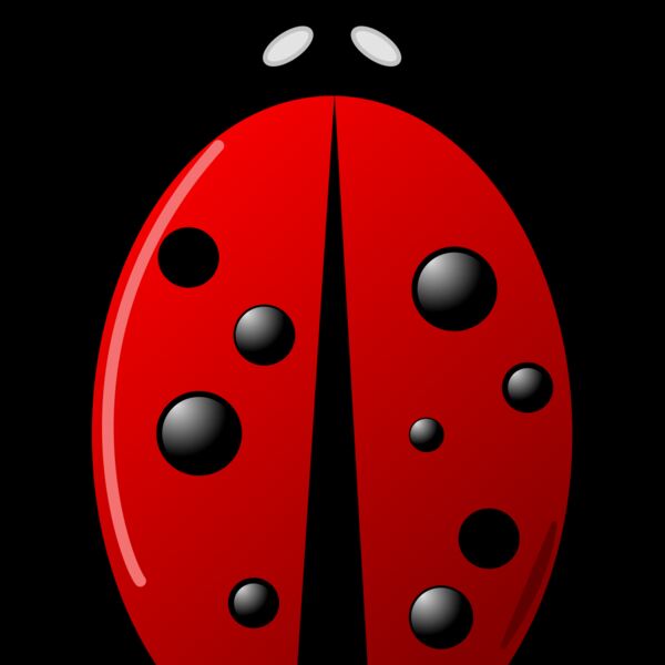 Ladybug Arvin61r58 Thumbnail