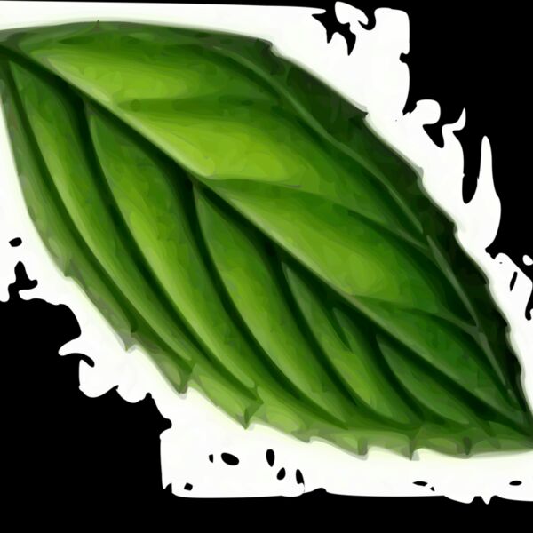 mint trace Thumbnail