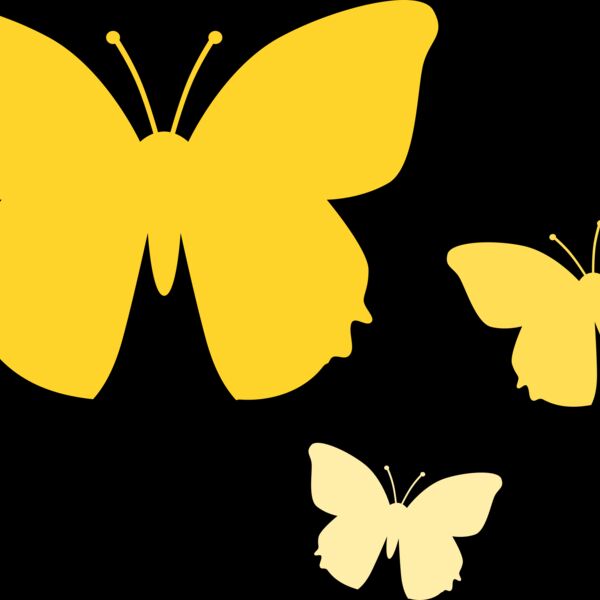 Yellow Butterflies Thumbnail