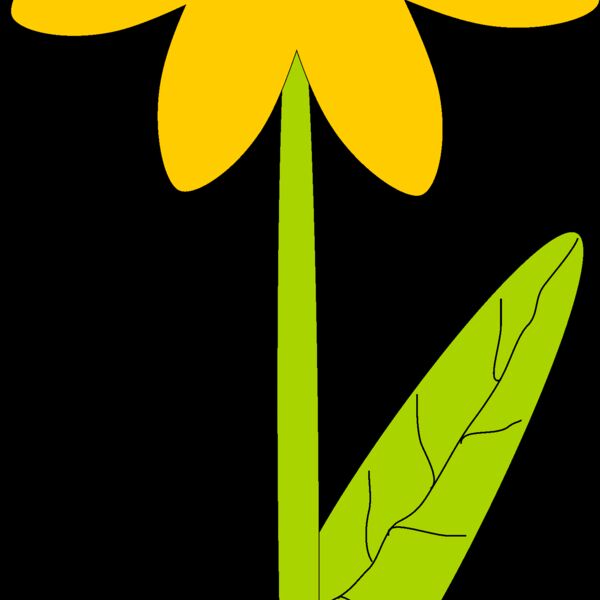 Machovka flower Thumbnail