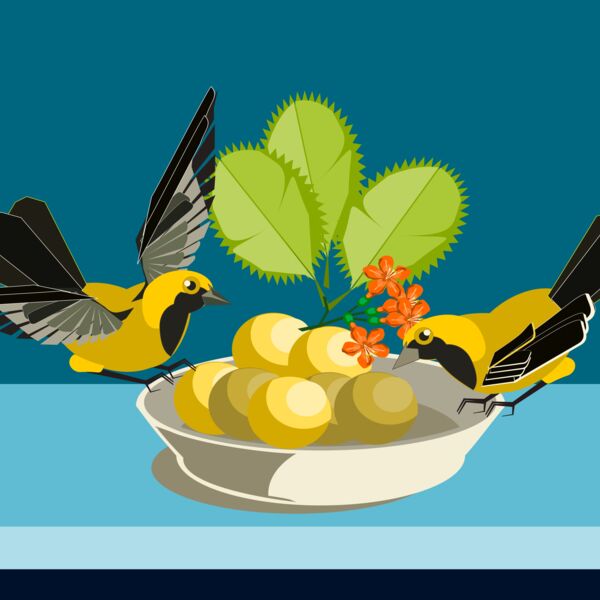 bodegonyuya Thumbnail