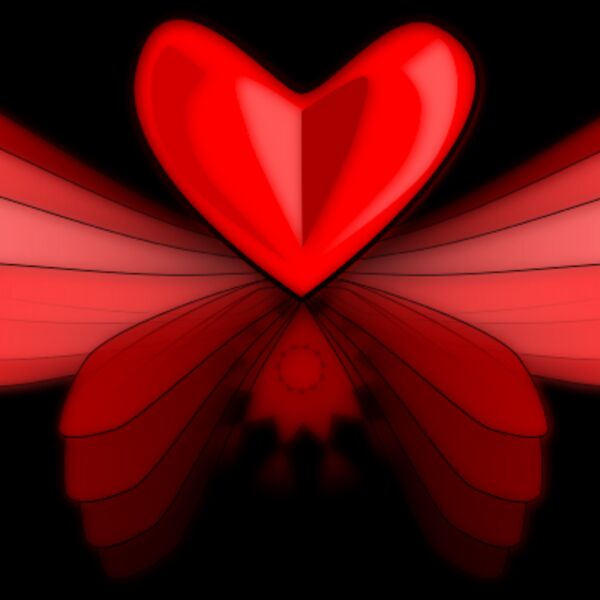 lovewing02 Thumbnail