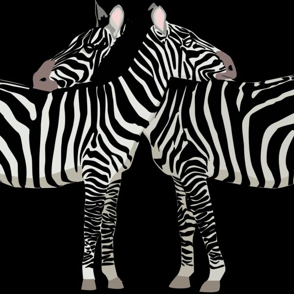 zebras Thumbnail