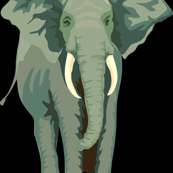 Anonymous Architetto    Elefante 01 Thumbnail