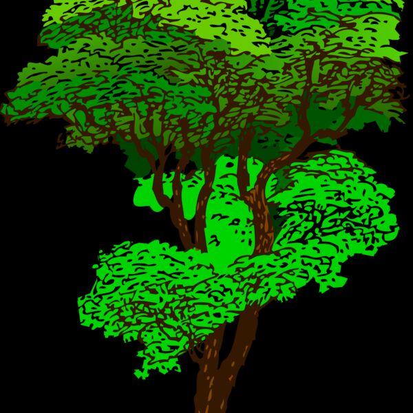 tree colorized 001 Thumbnail