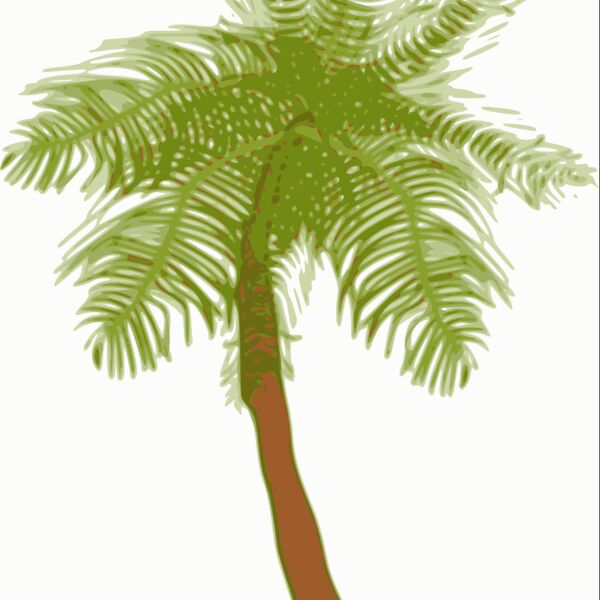 biswajyotim Coconut tree  2  Thumbnail