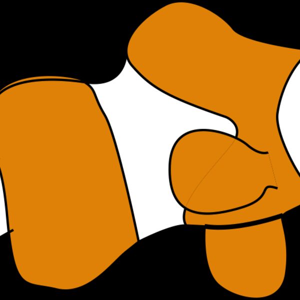 fish clouwn Thumbnail