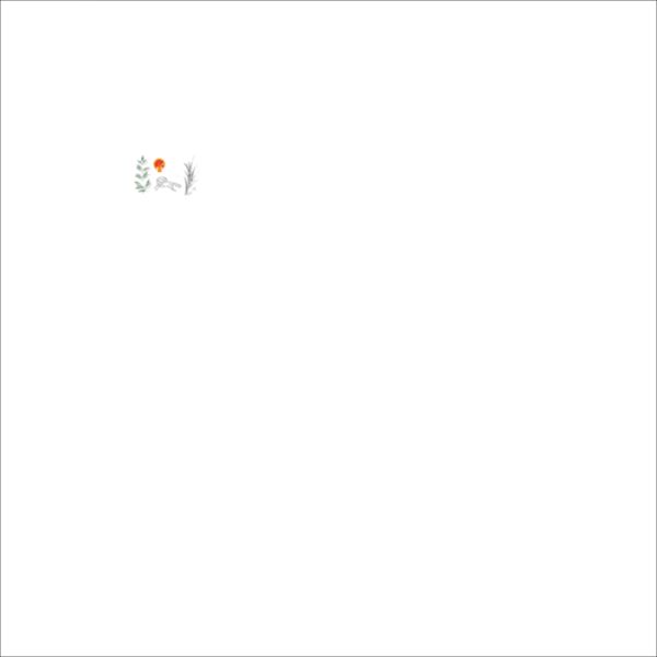 1361140618  2  Thumbnail