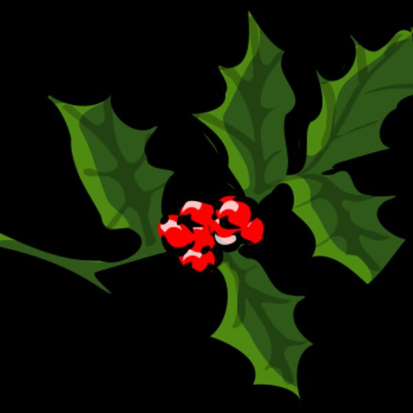 TheresaKnott Holly 3 Thumbnail