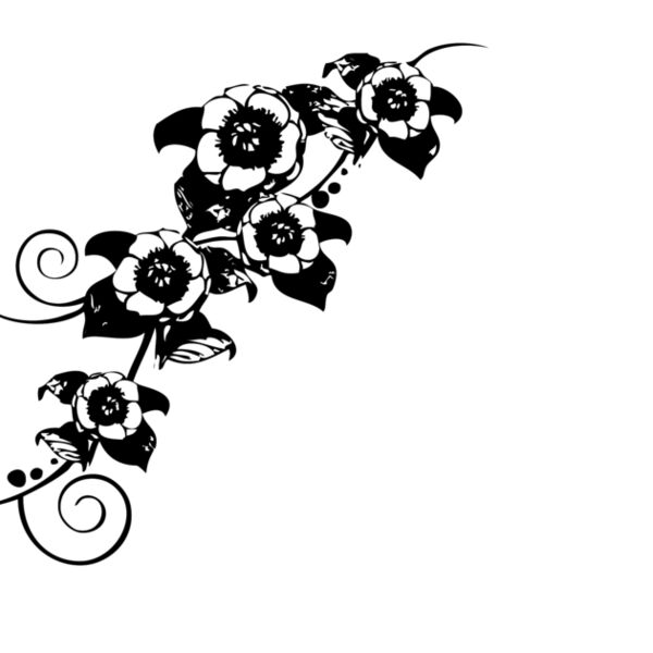 Border2  2  Thumbnail