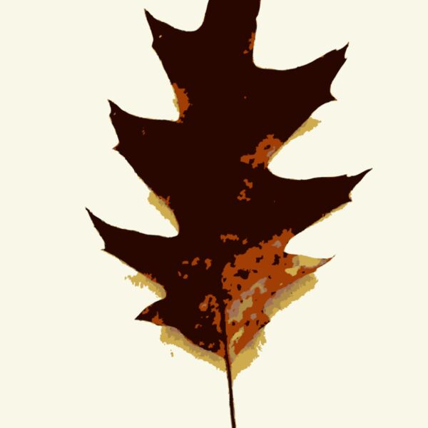 More fall tree leaves 2 Thumbnail