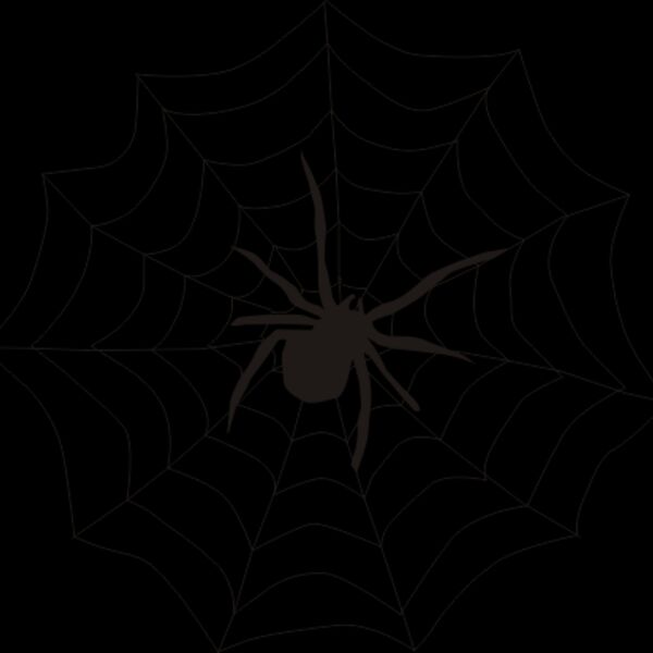 spider web Thumbnail