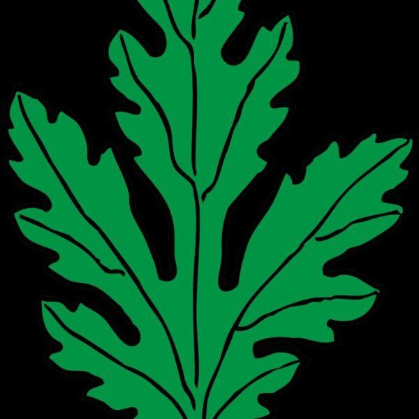 johnny automatic chrysanthemum leaf Thumbnail