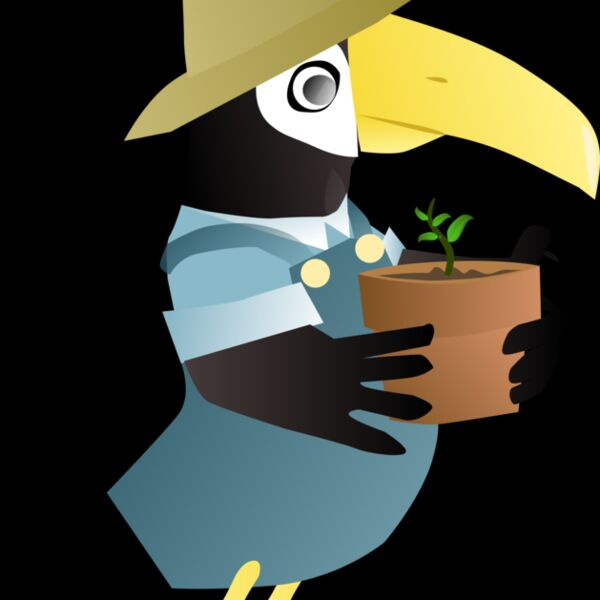 toucan jardin Thumbnail