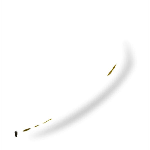 1357413670  2  Thumbnail