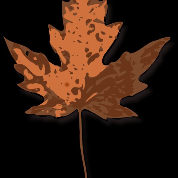 jimmiet Maple Leaf Thumbnail