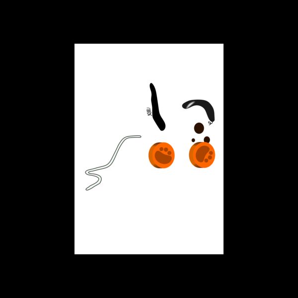 toy dog 580px Thumbnail